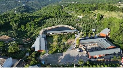 聚會、團建、散心，來這里就對咯！——星級公園觀光服務全體驗